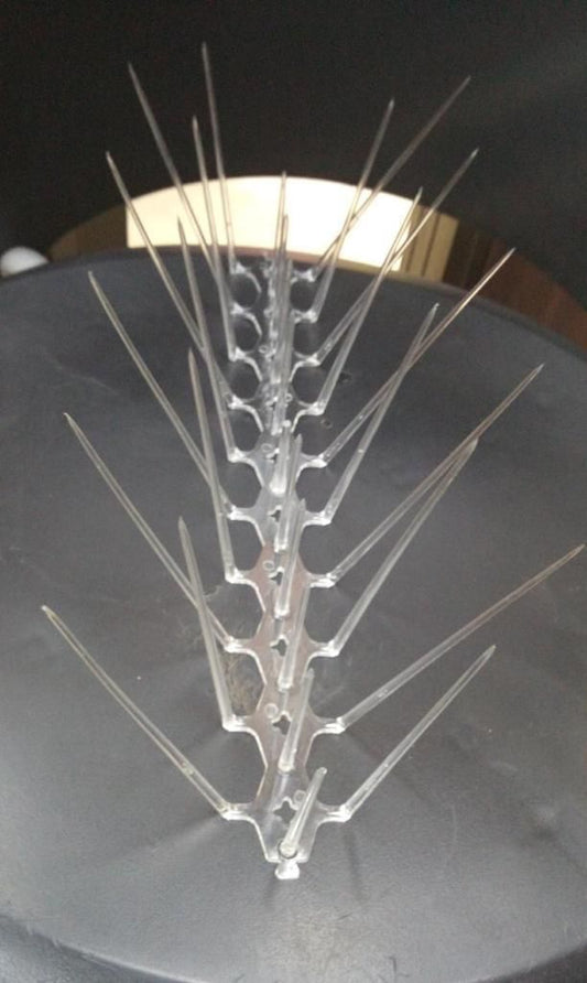 Pigeon Control Spikes (Set of 10) bqu5q7-dm