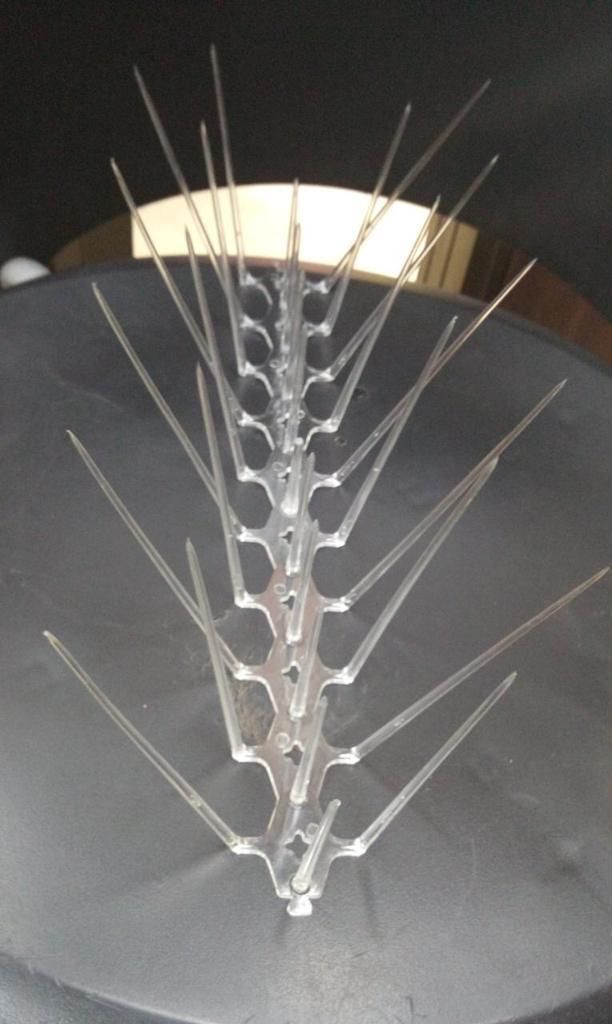 Pigeon Control Spikes (Set of 10) bqu5q7-dm