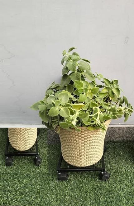 Wheel Pot Stand For Planters bqu5q7-dm